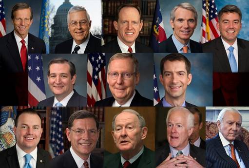 Thirteen Republican senators on the Obamacare repeal/replace group.