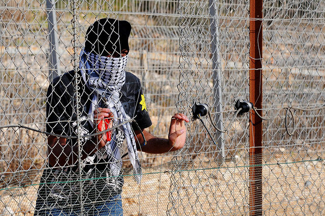 A protester peers through a fence in Bil'in, Palestine, on January 7, 2011. (Photo: IDF)