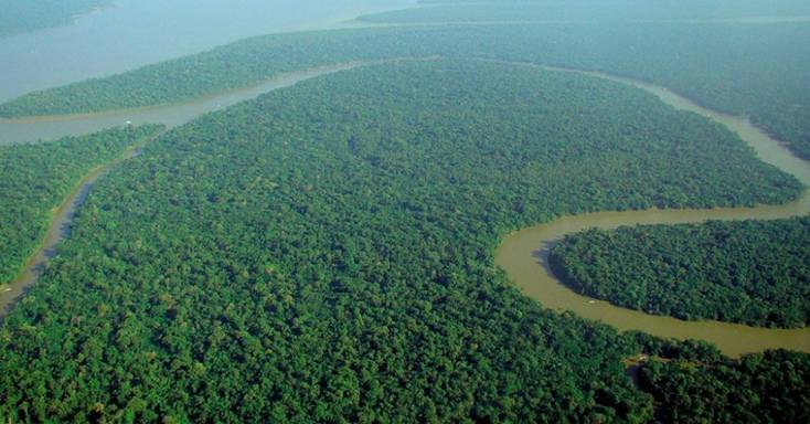 Five financial firms are funding the oil extraction business in the Amazon rainforest despite promising to act to mitigate the climate crisis. 